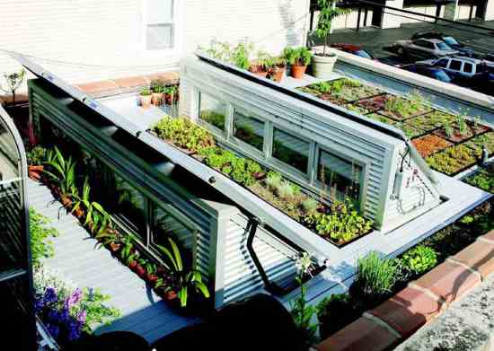 The roof garden tucks in and around the solar arrays.